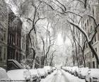 Karla kaplı sokak
